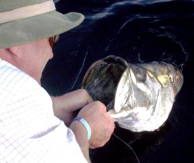 Una experiencia inigualable